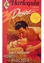 Okładka książki Honey i włóczęga Joan Johnston