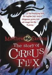 Okładka książki The Story of Cirrus Flux Matthew Skelton
