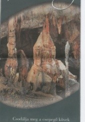 Okładka książki Baradla-barlang Kinga Székely