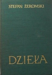 Okładka książki DZIEŁA - NOWELE I OPOWIADANIA T.4 Stefan Żeromski