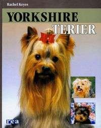 Yorkshire Terier