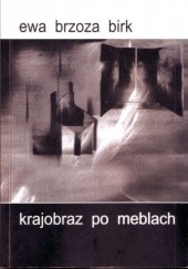 Okładka książki Krajobraz po meblach Ewa Brzoza-Birk