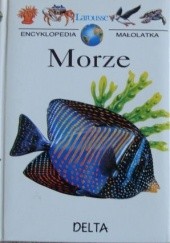 Okładka książki Morze Nina Morgan