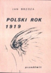 Okładka książki Polski Rok 1919