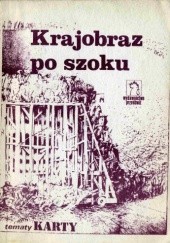 Okładka książki Krajobraz po szoku Anna Mieszczanek, praca zbiorowa