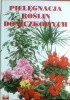 Pielęgnacja roślin doniczkowych