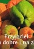 Okładka książki Przyjaciel na dobre i na złe. Perełka 176 praca zbiorowa