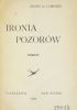 Okładka książki Ironia pozorów. Powieść Maciej Łubieński