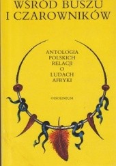 Okładka książki Wśród buszu i czarowników: antologia polskich relacji o ludach Afryki