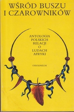 Okładka książki Wśród buszu i czarowników: antologia polskich relacji o ludach Afryki Antoni Kuczyński