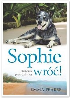 Sophie wróć. Historia psa-rozbitka