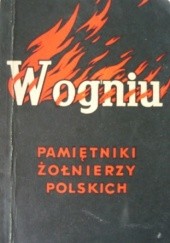 Okładka książki W ogniu. Pamiętniki żołnierzy polskich praca zbiorowa