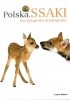 Okładka książki Polska. Ssaki Maria Moszczyńska