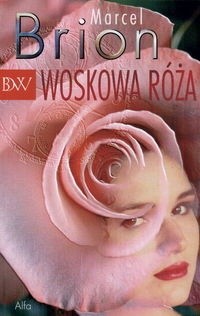 Woskowa róża