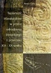 Okładka książki Tożsamość Irlandczyków w prozie odrodzenia literackiego z przełomu XIX i XX wieku Anna Cisło