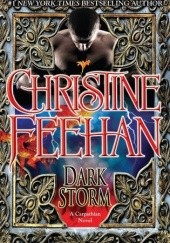 Okładka książki Dark Storm Christine Feehan