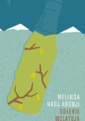 Okładka książki Gołębie wzlatują Melinda Nadj Abonji