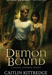 Okładka książki Demon Bound Caitlin Kittredge