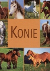 Okładka książki Konie Mariola Jezierska