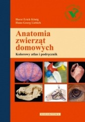 Okładka książki Anatomia zwierząt domowych: kolorowy atlas i podręcznik Horst Erich König, Hans-Georg Liebich