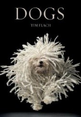 Okładka książki Dogs Lewis Blackwell, Tim Flach