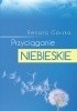 Okładka książki Przyciąganie niebieskie Renata L. Górska