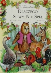 Okładka książki Dlaczego sowy nie śpią Pascale Védère d'Auria