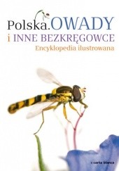 Okładka książki Polska. Owady i inne bezkręgowce praca zbiorowa