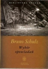 Okładka książki Wybór opowiadań Bruno Schulz