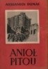 Anioł Pitou. Tom 1