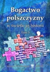 Okładka książki Bogactwo polszczyzny w świetle jej historii. Tom 3 Artur Rejter