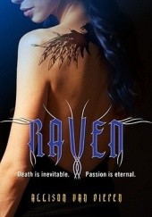 Okładka książki Raven Allison van Diepen