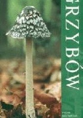 Okładka książki Kieszonkowy atlas grzybów Shelley Evans, Geoffrey Kibby