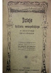 Okładka książki Dzieje kościoła ewangelickiego w Księstwie Cieszyńskiem Karol Michejda