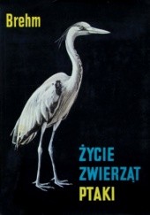 Okładka książki Życie zwierząt. Ptaki Alfred Brehm