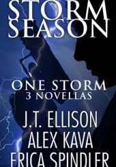 Okładka książki Storm Season J.T. Ellison, Alex Kava, Erica Spindler