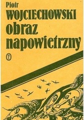Okładka książki Obraz napowietrzny Piotr Wojciechowski