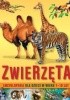Okładka książki Zwierzęta. Encyklopedia dla dzieci 7-10 lat Mariusz Lubka