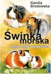 Okładka książki Świnka morska - nasz mały przyjaciel Kamila Brodowska