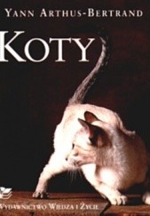 Okładka książki Koty Yann Arthus-Bertrand