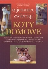 Okładka książki Koty domowe Katarzyna Bulman, Jacek Nalewajek