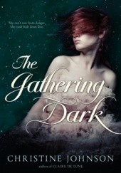 Okładka książki The Gathering Dark Christine Johnson