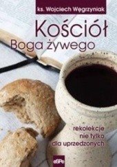 Okładka książki KOŚCIÓŁ BOGA ŻYWEGO. Rekolekcje nie tylko dla uprzedzonych Wojciech Węgrzyniak