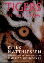 Okładka książki Tigers in the Snow Peter Matthiessen