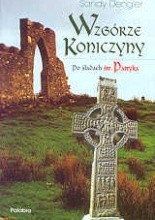 Okładka książki Wzgórze Koniczyny. Po śladach św. Patryka