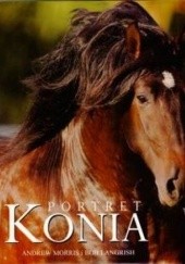 Okładka książki Portret konia Bob Langrich