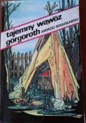 Okładka książki Tajemny Wąwóz Gorgoroth Andrzej K. Bogusławski