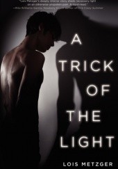 Okładka książki A Trick of the Light Lois Metzger