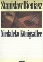 Okładka książki Niedaleko Königsallee Stanisław Bieniasz