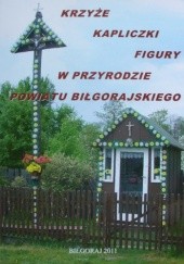 Krzyże, kapliczki, figury w przyrodzie powiatu biłgorajskiego